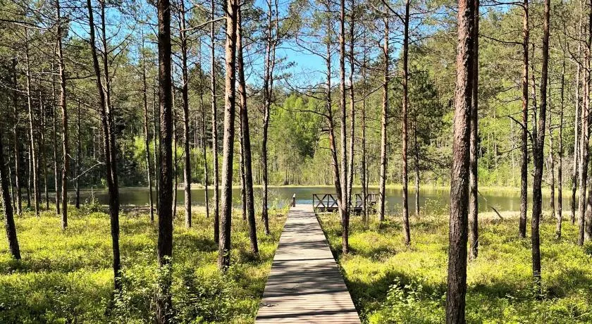 Vidugiris Lake - Image 1