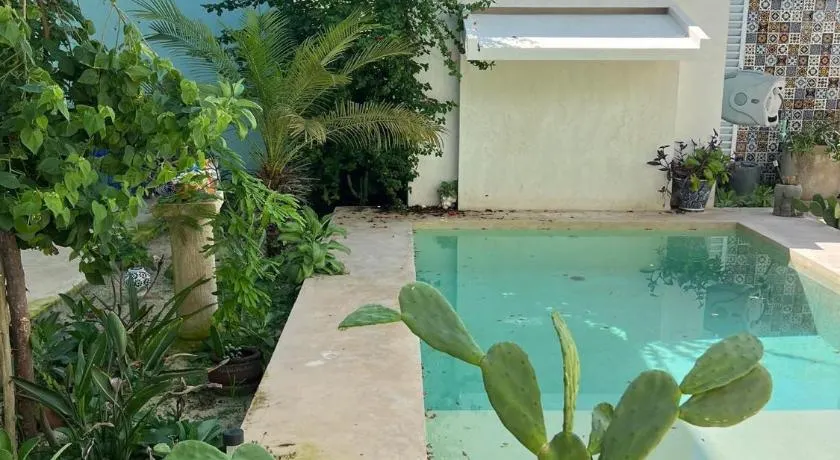 El Oasis - Image 1
