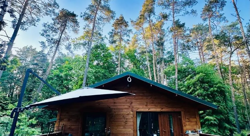 Urocza chatka w lesie nad wodą - Image 1