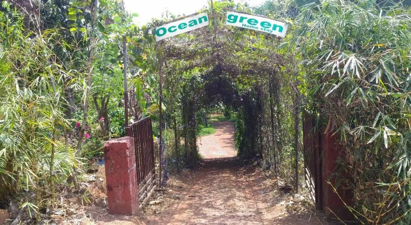 Ocean Green Kerala - Image 1