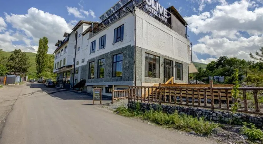 Olive Ala-Archa Hotel & SPA - Image 1
