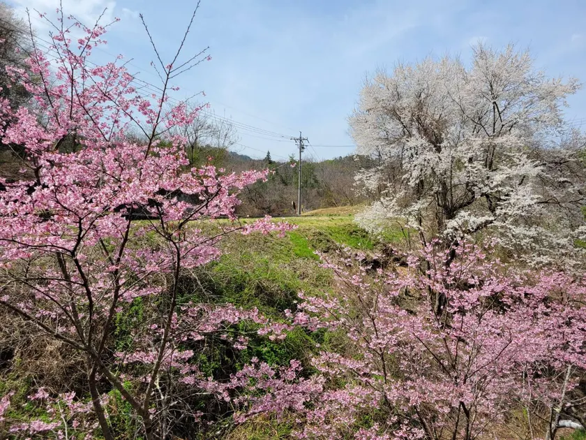 glampark Gekkabijin Nagano - Image 1