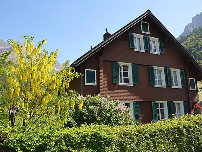 Hälmehois - Image 1