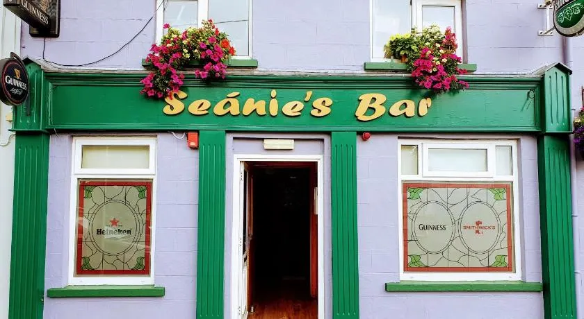 Seanie's guest house - Image 1