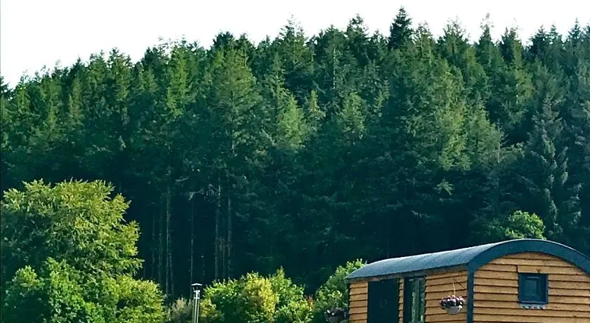 Roosters Retreat - Image 1