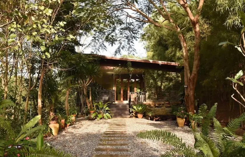Plantation View, Wang Nam Khiao - Image 1