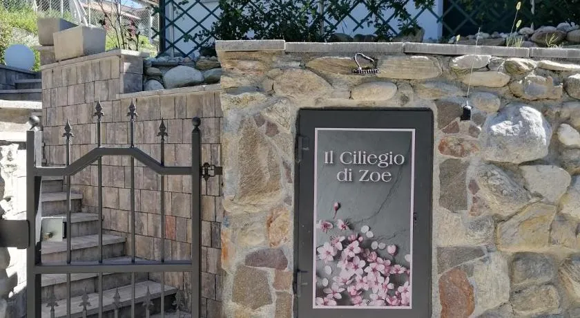 IL CILIEGIO DI ZOE - Image 1