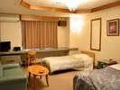 Business Hotel Plum Field - Image 1