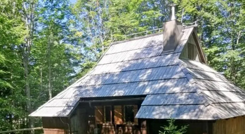 Koča Pastirica - Velika planina - Image 1