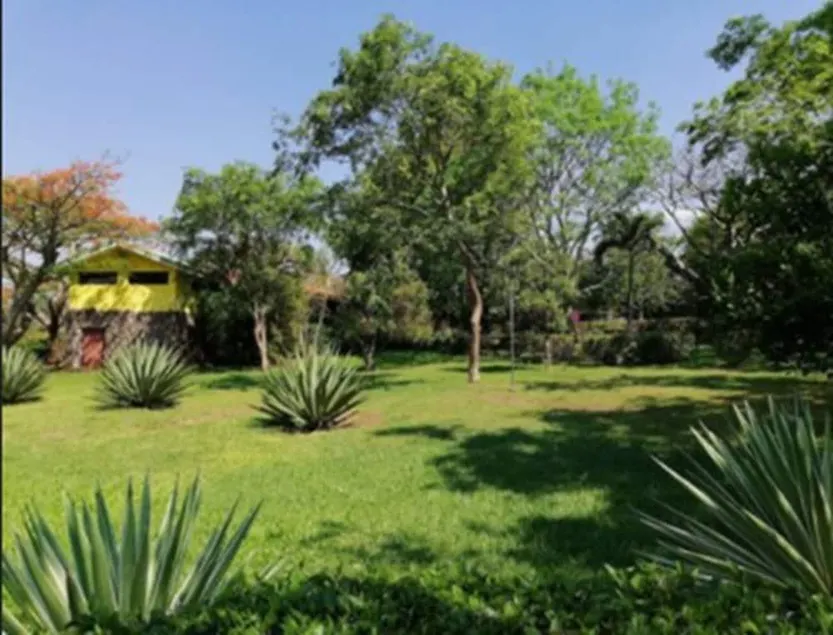 Hotel Rincon de la Vieja Lodge - Image 1
