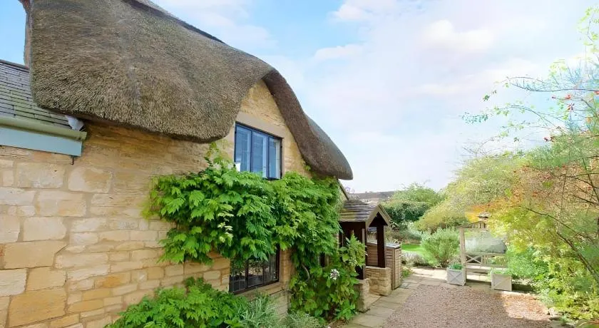 The Thatch - Image 1