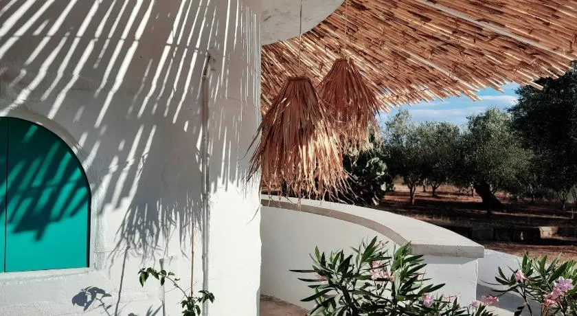 Sunsets and Olive Trees - Image 1