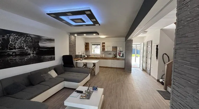 LUX Pool Villa Zamárdi - Image 1