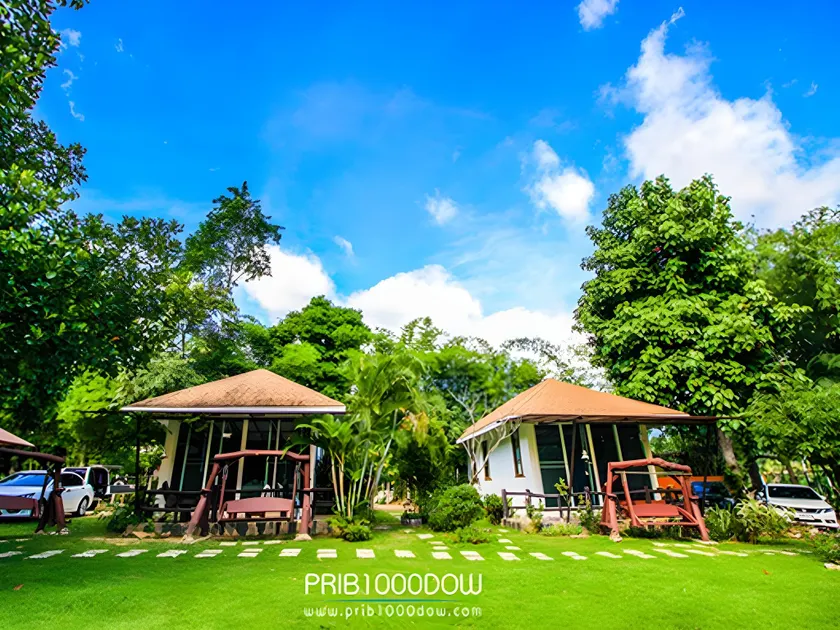 Prib1000dow Home And Camping - Image 1