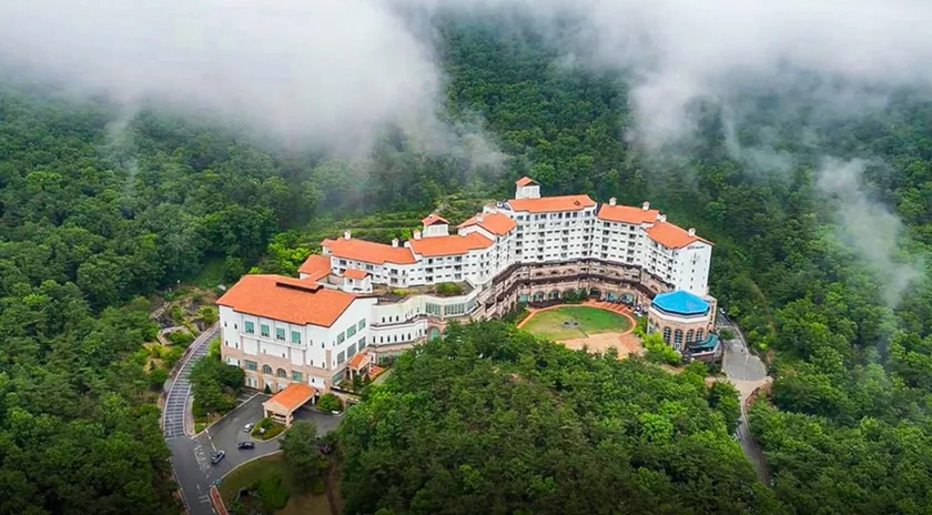 STX Resort - Image 1