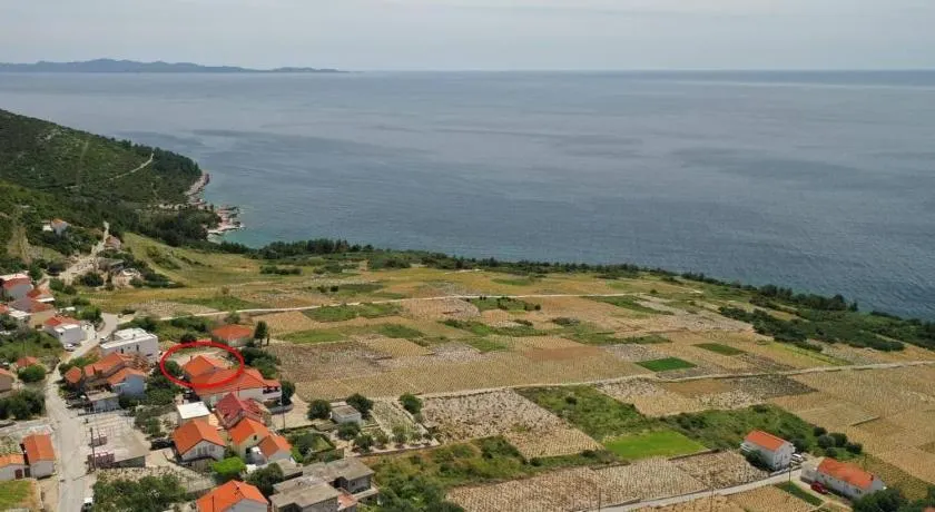 House Jak - Image 1