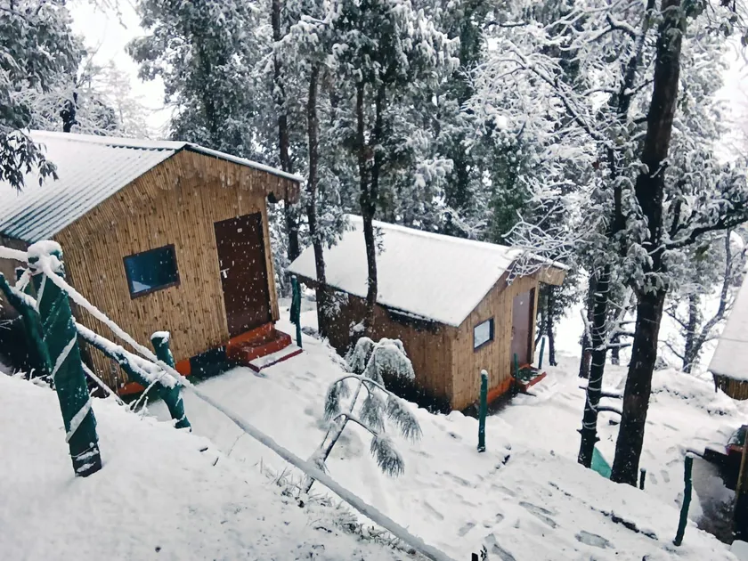 TTN - The Trekker's Nest - Image 1