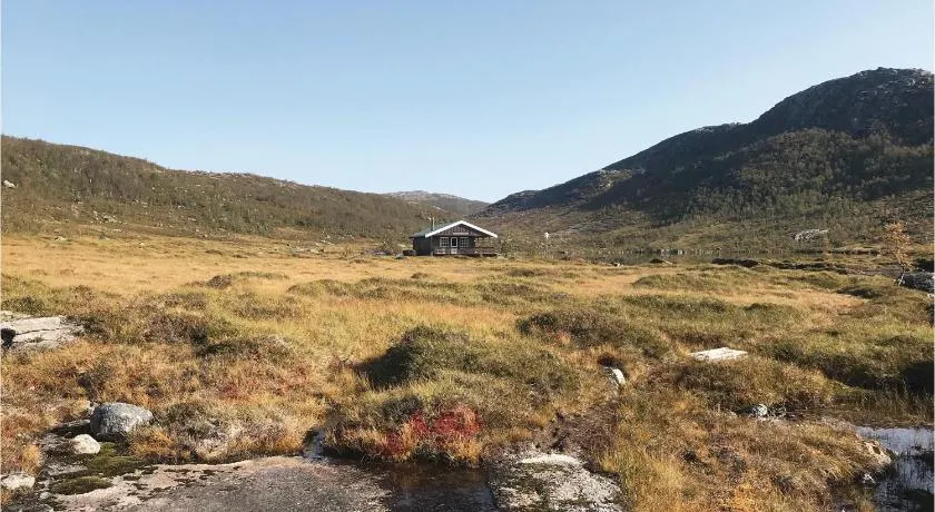 Tjeldøya - Image 1