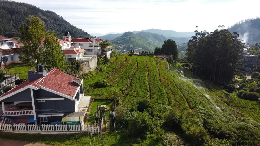 Tiger Hill Homestay - Image 1
