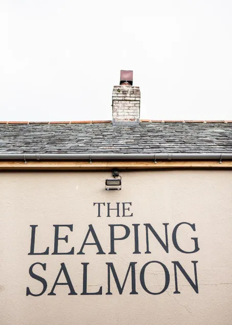 The Leaping Salmon - Image 1