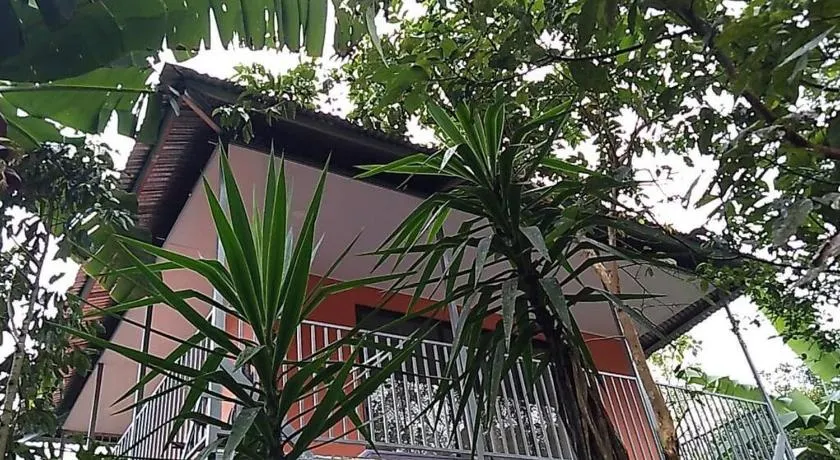 Hospedaje Rio Celeste Katira, Habitación privada - Image 1