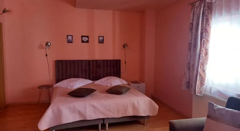 Pensiunea Vila Dana - Image 1