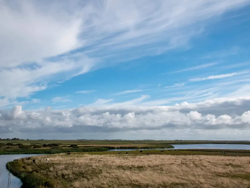 person holiday home in Hojer - Image 1