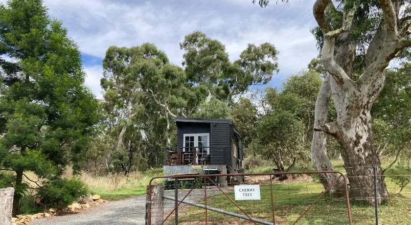 Cherry Tree - Merigan Farm Stay - Bungendore - Mount Fairy - Image 1