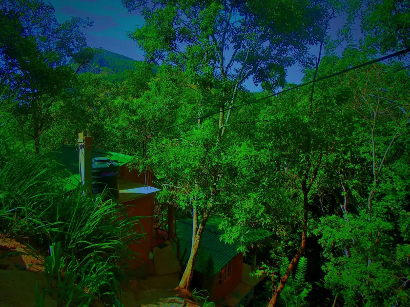 Ella Green Cottages - Image 1