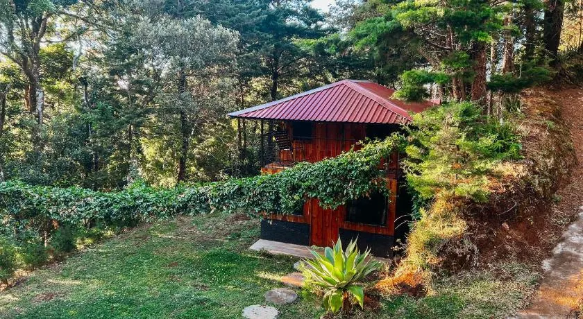 Cabaña Piqueza! - Image 1