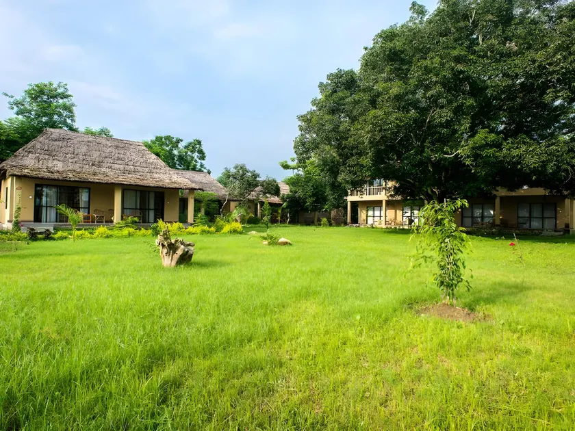 Into The Wild Eco Resort - Image 1