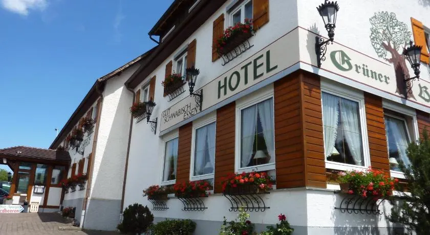 Hotel Landgasthof Grüner Baum - Image 1