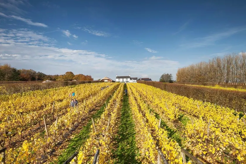 Llanerch Vineyard Hotel - Image 1
