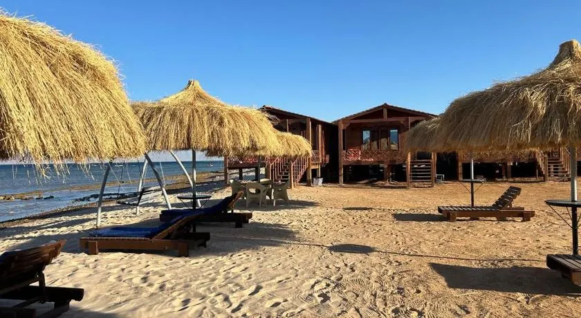 Free Beach Camp - Image 1