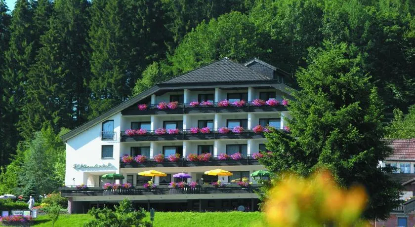 Pfeifles Höhenhotel - Image 1