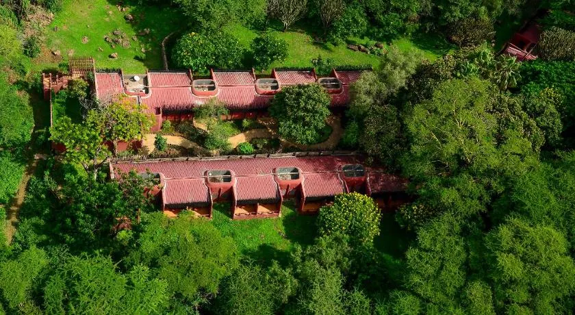 Amboseli Serena Safari Lodge - Image 1
