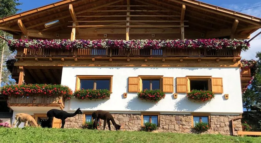 B&B Belvedere - Image 1