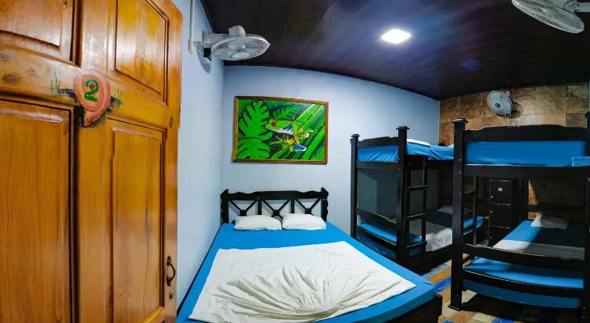 Hostel Tortuguero 7BackPackers - Image 1