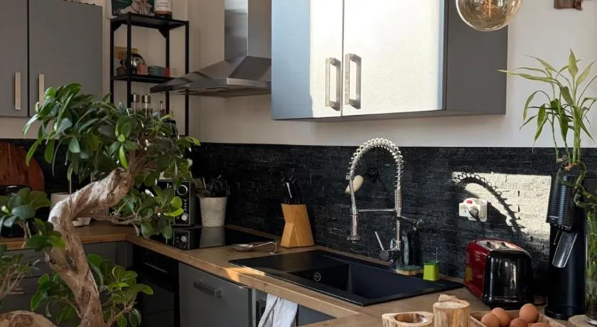 Duplex climatisé avec parking et borne électrique - Image 1