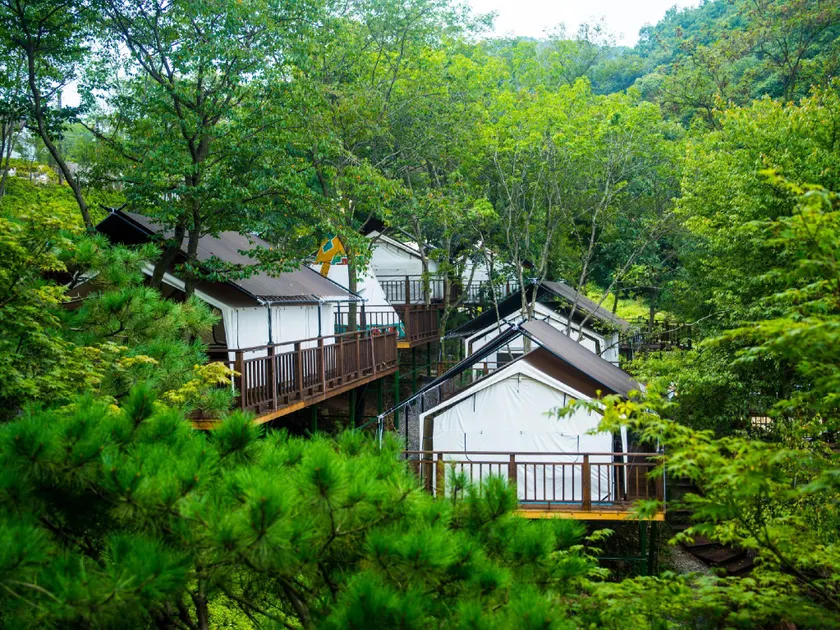 Dongwha Healing Camp - Image 1