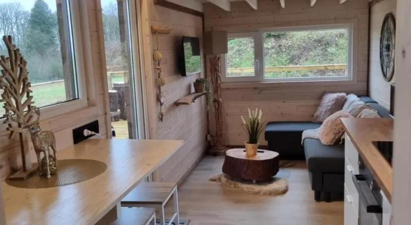 Tiny housse serenity avec jacuzzi et piscine - Image 1