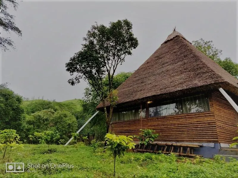Red house home stay /Forest in side - Image 1