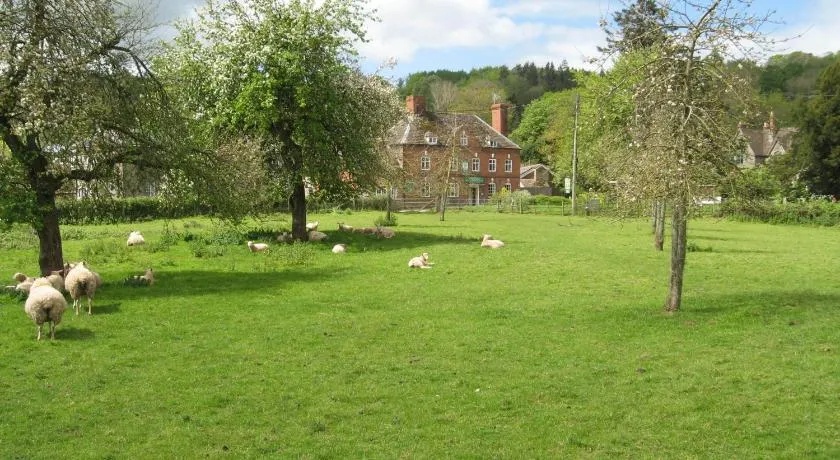 The Red Lion Hotel - Image 1