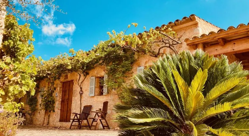 Finca Sa Moleta Nova - Image 1