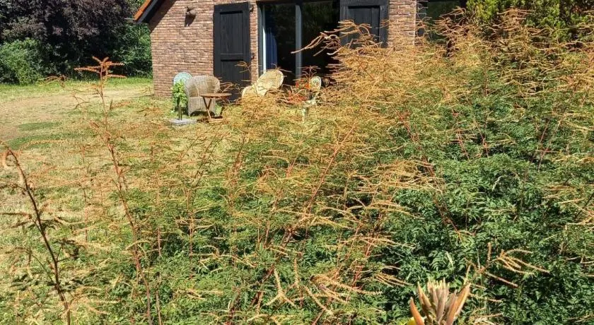 Ruim vakantie huis Marke Lemselo in de rust en natuur - Image 1