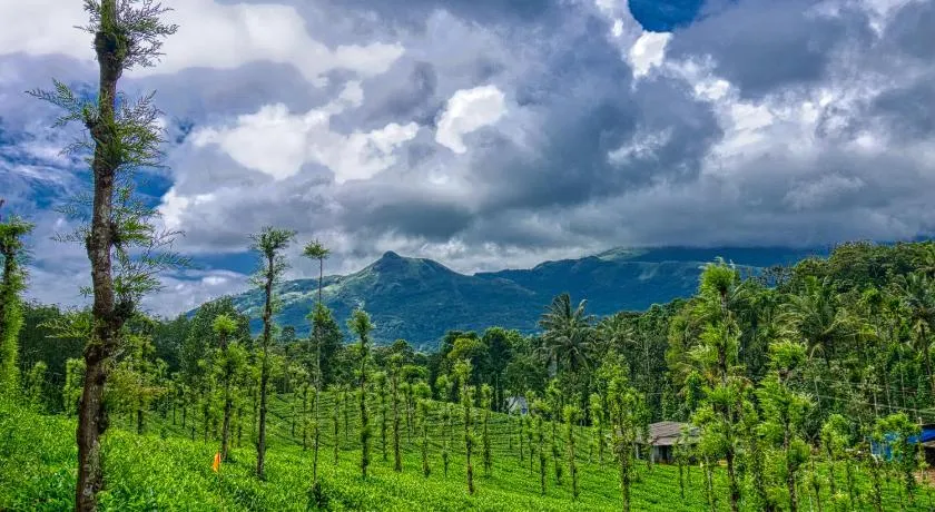 Ende Wayanad Resort - Image 1