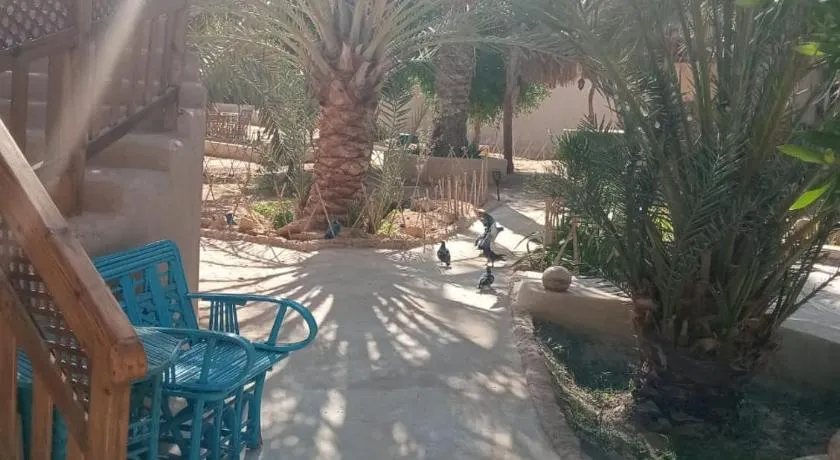 Siwa Spot - one of the best places in Siwa, with beautiful weather, pleasant sunny days, cooler peaceful nights, and a quiet oasis atmosphere perfect for rest and reflection - Image 1