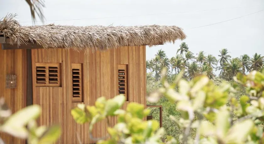 Mangal Amaniū - Image 1