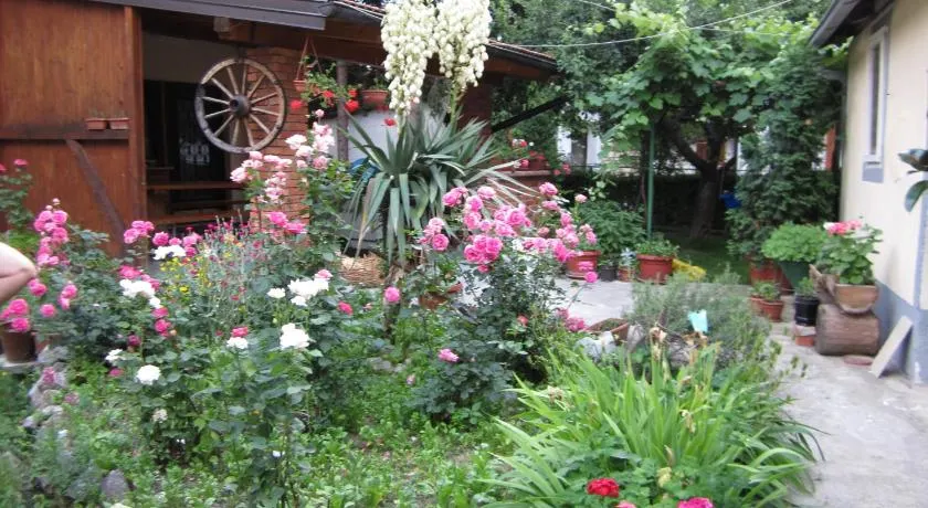 Bravo Guest House - Image 1
