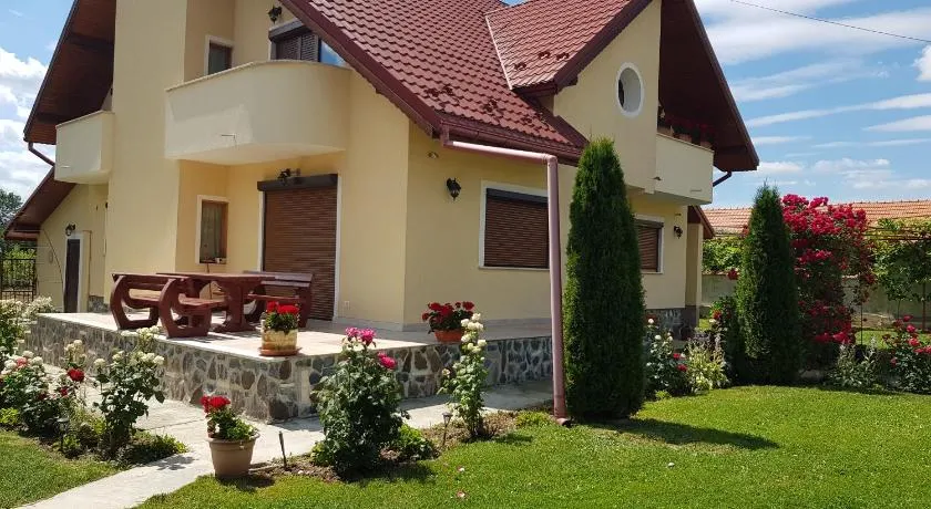Vila Grecu - Image 1